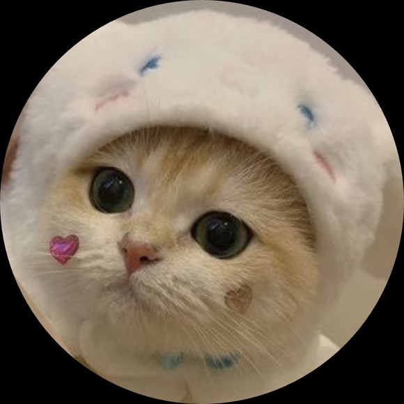 blazeliepie13